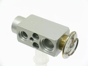ACM Expansion Valve 1051.0001