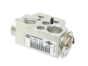 ACM Expansion Valve 1651.0029