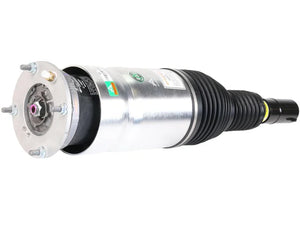Arnott Industries Strut AS-3204