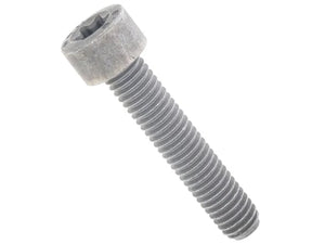 BMW Fillister Head Screw 07-12-9-905-386