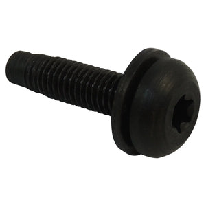 Crown Automotive Jeep Replacement Hardtop Screw for 02/06 Jeep TJ Wrangler and 07/18 Jeep JK Wrangler w/ Hard Top 6506826AA