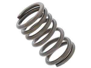 EMPI Valve Spring 98-1923-B