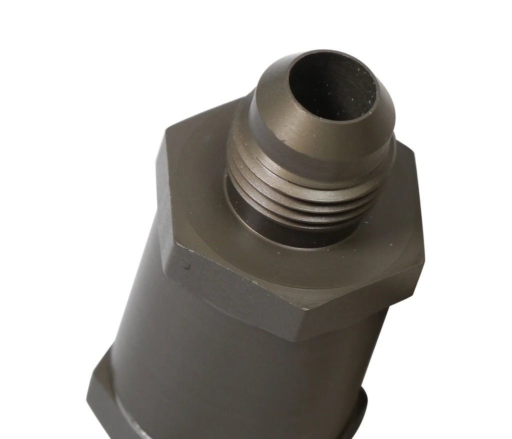 Earl's Performance Check Valve - 6AN Male – Stainless Steel Hinge Door with GF-600S Viton® Seal 253006ERL - Detail View
