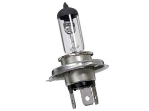 Flosser Bulb 665543