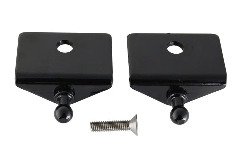 Ford Racing 05-14 Mustang Hood Lift Kit w/ Laser Engraved Ford Performance Logo - Additional View 6