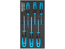 Load image into Gallery viewer, HAZET-WERK Screwdriver Set 163-266/6