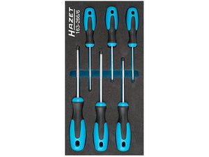 HAZET-WERK Screwdriver Set 163-266/6