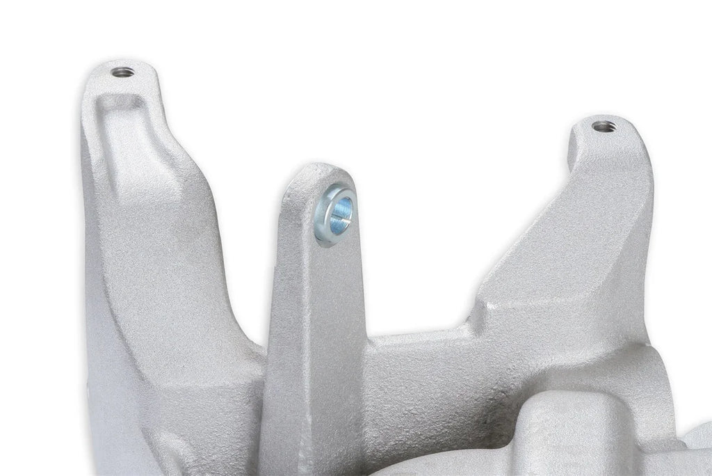 Holley MANIFOLD-BRACKET KIT, LT4 WET-NATURAL 97-250 - Additional View 5