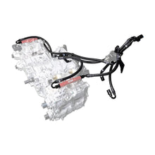 Load image into Gallery viewer, IAG Performance PTFE Flex Fuel Line Kit for use w/COBB Flex Fuel Sensor IAG-AFD-2225 - Side View