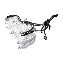 Load image into Gallery viewer, IAG Performance PTFE Flex Fuel Syst Kit w/ ID Injectors, Aeromotive FPR, IAG Fuel Rails (Black) IAG-AFD-2320BK - Side View
