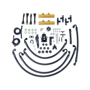 IAG Performance PTFE Fuel System Kit w/ FIC Injectors, Aeromotive FPR, IAG Fuel Rails (Black) IAG-AFD-2334GD - Main Produc...