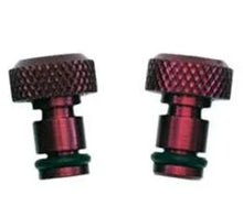Load image into Gallery viewer, Kwik Change Products Hollow Plug (2) KCP713-001-H