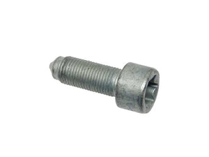 Mercedes-Benz Flywheel Bolt A0089900504