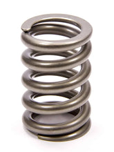 Load image into Gallery viewer, PAC Racing Springs Calibration Springs for Spring Testers PAC-T900