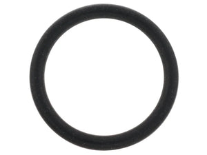 Porsche Coolant Pipe Seal WHT-005-440