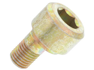 Porsche Eccentric Bolt 90133313310