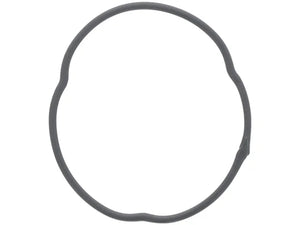 Porsche Thermostat Housing Seal 9A2-106-332-00