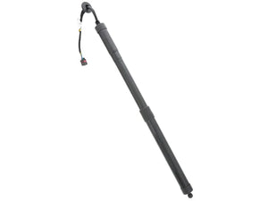 Pro Parts Hatch Shock 83437573