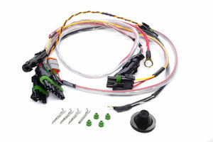 Quickcar Racing Wiring Harness SPEC Asphalt Late Model 50-2053