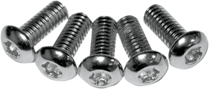 RC Components Mounting Bolt Kit - Rotor - Front - Torx 991010