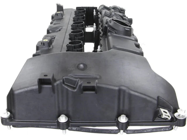 Rein SSF VCE0104 - Side View