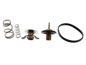 Rein Thermostat CTN0044