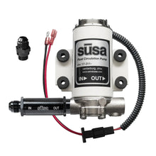 Load image into Gallery viewer, Setrab Mini Circulation Pump - Gear Oil - 12-Volt  6AN 17-311-06-IF05