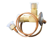 Load image into Gallery viewer, URO Parts Expansion Valve 1394712