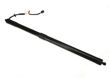 Load image into Gallery viewer, URO Parts Hatch Shock LR062078