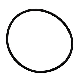 Wehrli S400 Compressor Outlet O-Ring Seal - Main Product View