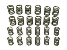 Load image into Gallery viewer, aasco motorsports Valve Spring Set HP109 KIT