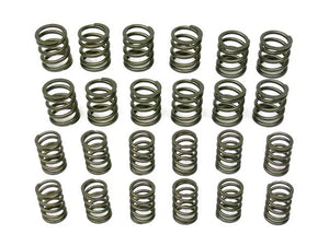 aasco motorsports Valve Spring Set HP109 KIT