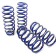 Load image into Gallery viewer, H&amp;R Lift Spring (Non Air Susp.) fits 2020-2024 Tesla Model Y