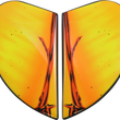 Load image into Gallery viewer, 01331354_0.png