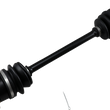 Load image into Gallery viewer, 02141566_0.png