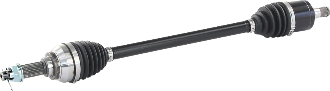 02143213_1.png
