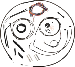 06620872_0.png