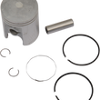 Load image into Gallery viewer, 09100893_0.png