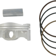 Load image into Gallery viewer, 09101168_0.png