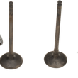 Load image into Gallery viewer, 09261456_0.png