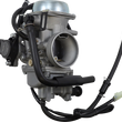 Load image into Gallery viewer, 10020103_0.png