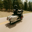 Load image into Gallery viewer, 10103149_1.png