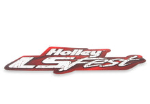Load image into Gallery viewer, 10133hol_02.jpg