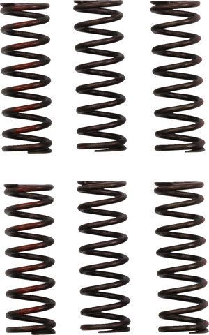 11313719_0.png