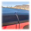 Load image into Gallery viewer, Photo - Close Up