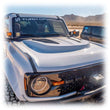 Load image into Gallery viewer, Photo - Close Up