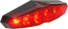 Load image into Gallery viewer, 20101266_1.png