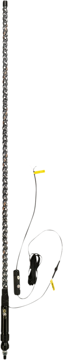 20402805_0.png