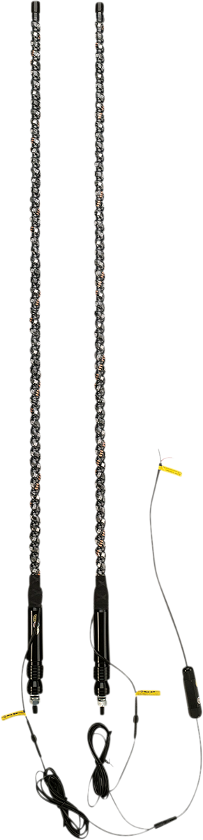 20402806_0.png