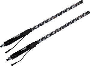 20403161_0.png